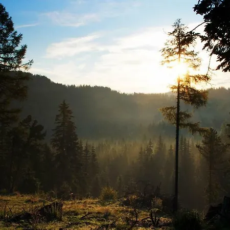 Rainbachhuette-waldgut Granig Ferienhaus Glodnitz