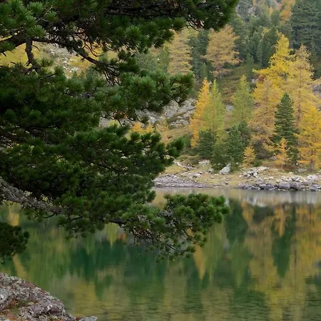 Tatil Evi Rainbachhuette-waldgut Granig *