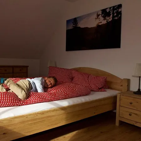 Tatil Evi Rainbachhuette-waldgut Granig Glodnitz