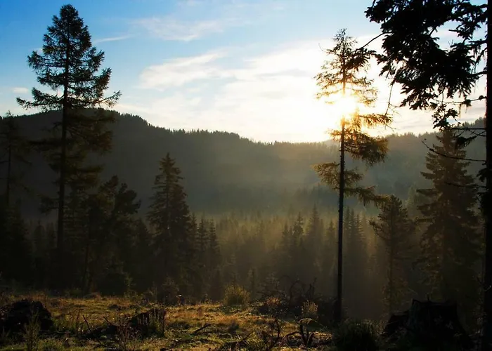 Rainbachhuette-waldgut Granig Сasa de vacaciones Glodnitz